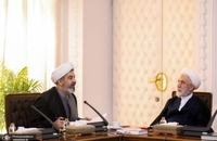 نشست هیئت پیگیری اجرای قانون اساسی (6)