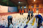 توزیع 2 هزار بسته غذایی در خرمشهر