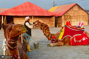 منتخب تصاویر امروز جهان- 12 بهمن