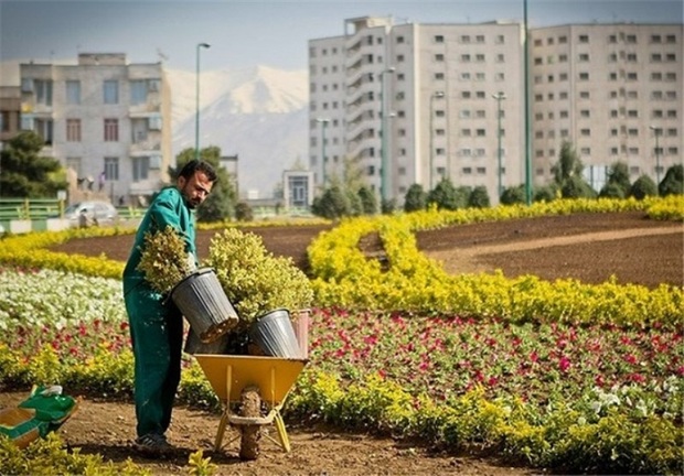 طرح استقبال از بهار در ورامین آغاز شد