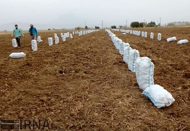 کشاورزان اندیمشکی نسبت به تصرف زمین های خود معترض اند