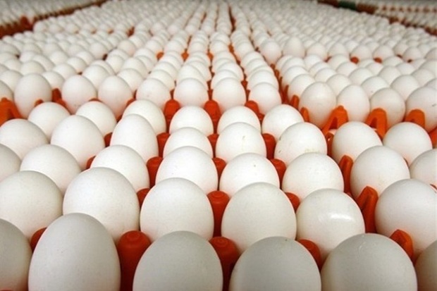 سرانه مصرف تخم مرغ در کشور به 198 عدد رسید