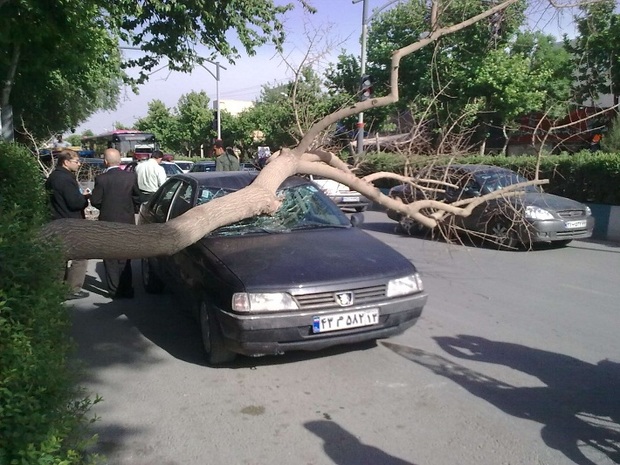 باد شدید 7 میلیارد ریال به اصفهان خسارت زد