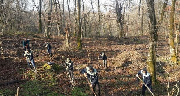مطالبات کارکنان طرح حفاظت جنگل با تهاتر حل می‌شود