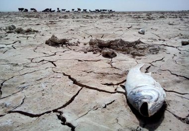 هامون و جازموریان همچنان خشک و بی رمق