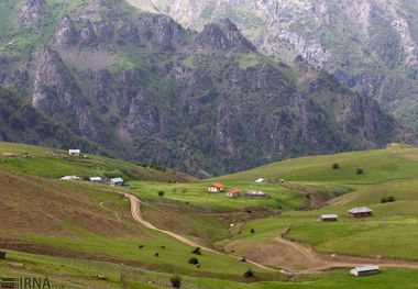 کشت گیاهان دارویی در ۵۱۰۰ هکتار از مراتع کهگیلویه و بویراحمد آغاز شد