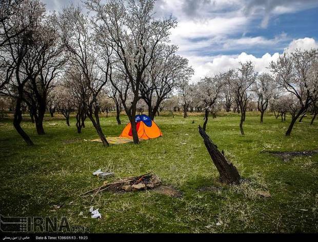 شهروندان از ایجاد آتش در منابع طبیعی قم جلوگیری کنند