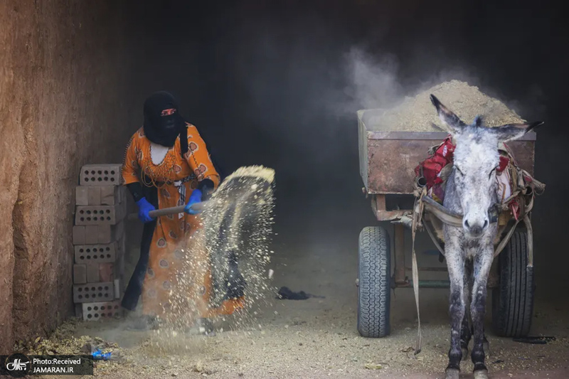 منتخب تصاویر امروز جهان - 2 فروردین 1402