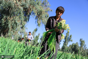 منتخب تصاویر امروز جهان- 20 دی