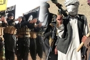 طالبان و داعش در افغانستان درگیر شدند
