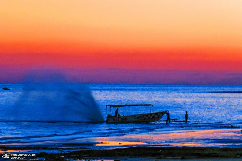 پارک زیتون قشم