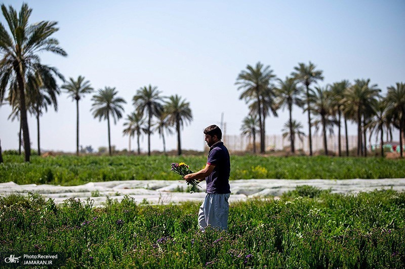 منتخب تصاویر امروز جهان- 14 اسفند