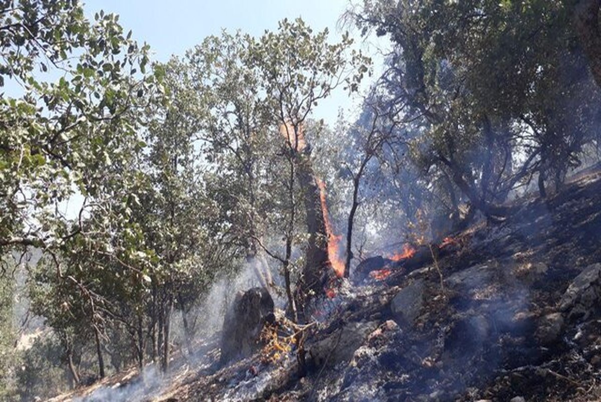 مهار آتش جنگل های گچساران