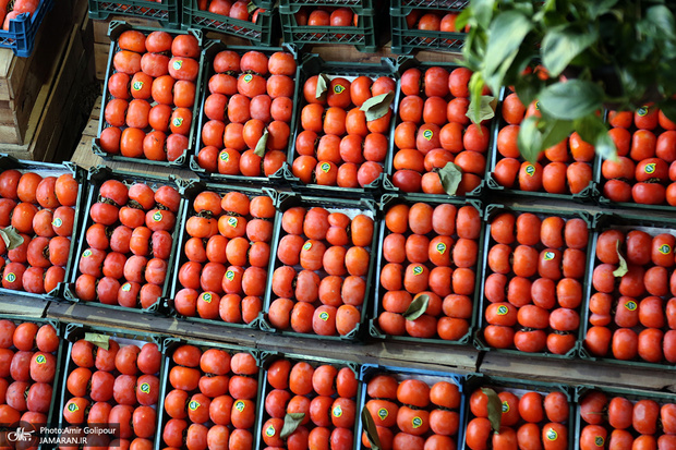 با خواص جالب خرمالو آشنا شوید