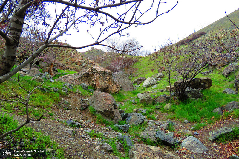 مسیر کوهنوردی کلکچال