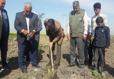 14 هکتار از اراضی ملی گنبد به بوستان روستایی تبدیل شد