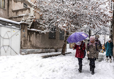 نوبت صبح مدارس شهرستان‌های لردگان و خانمیرزا  روز شنبه تعطیل شد