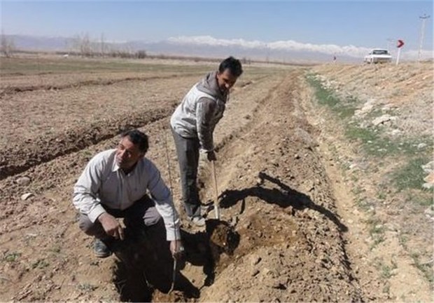 باغ فدک در استان خوزستان با هدف جلوگیری از پدیده ریزگردها احداث می‌شود‌