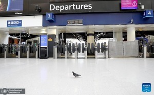 منتخب تصاویر امروز جهان - 30 مرداد 1401