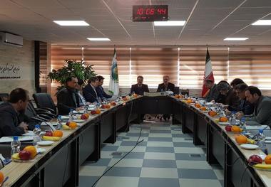 محدودیت سرمایه گذاری چالش اساسی پروژه ملی مدیریت چند منظوره جنگل های هیرکانی