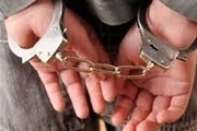 دستگیری عامل اصلی ربایش دختران ایرانشهری