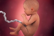 تأثیر منفی و عجیب آلودگی هوا روی جنین 6 تا 9 ماهه