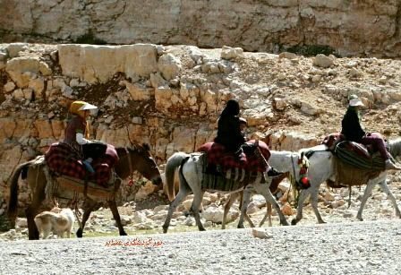 تور گردشگران خارجی همراه با کوچ عشایر بختیاری برگزار می شود