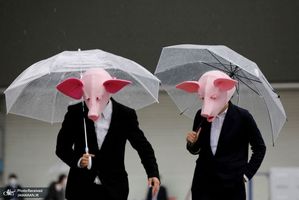 منتخب تصاویر امروز جهان- 31 اردیبهشت