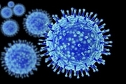 هشدار در مورد خطر شیوع بالای آنفلوآنزا در پاییز و زمستان