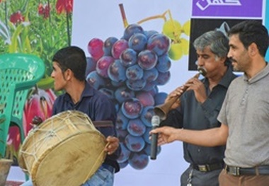 دومین دوره جشنواره انگور روستای آشناخور خمین برگزار شد