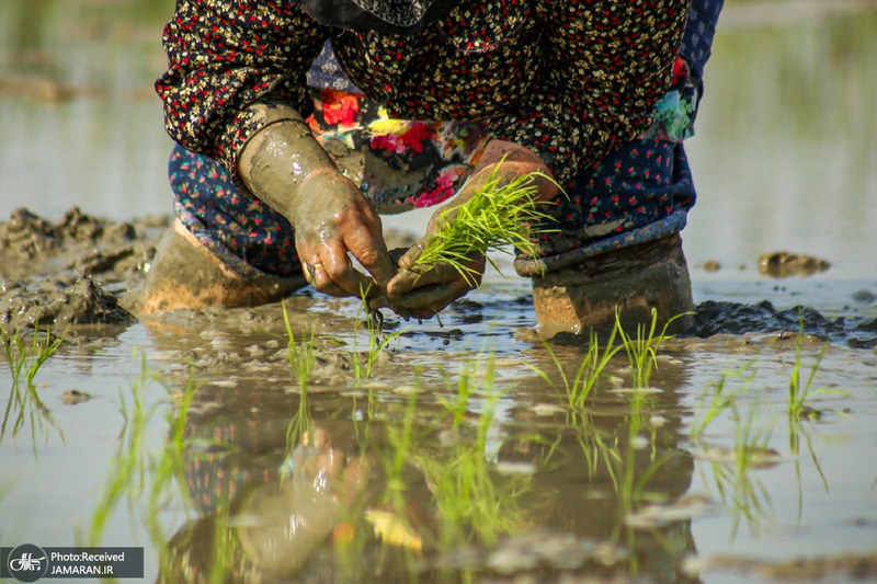 منتخب تصاویر امروز جهان - 20 اردیبهشت 1401