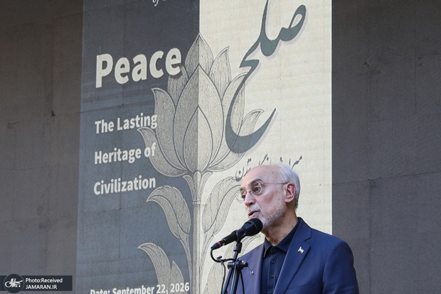علی‌اکبر صالحی: جنگ هرگز سرنوشت محتوم نیست/ مدعیان پاسداری از نظم بین‌المللی رویکردی معکوس در پیش گرفته‌اند