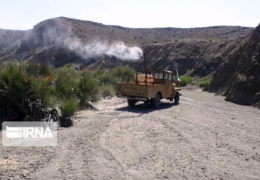 ۹۵۳ هکتار از مراتع سیستان و بلوچستان علیه ملخ صحرایی سمپاشی شد