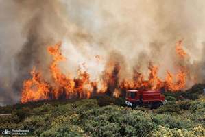 منتخب تصاویر امروز جهان- 20 آبان