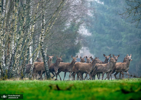 منتخب تصاویر امروز جهان - 6 فروردین 1404
