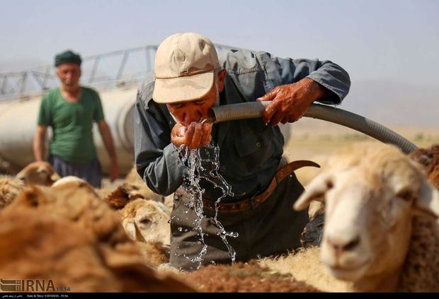 روزانه به ۷۰۰ خانوار عشایر ملکشاهی آبرسانی می شود