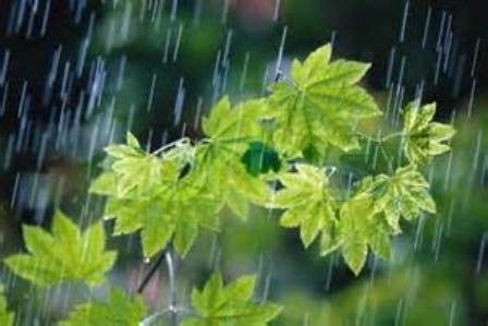 بارش ها در زنجان ادامه دارد
