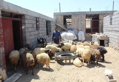 ۳ هزار شغل پایدار روستایی در کردستان ایجاد می‌شود