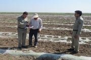 ضایعات پلاستیکی کشت زیرنایلونی در مزارع پارس آباد مدیریت می شود