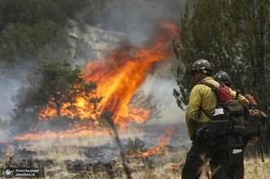 منتخب تصاویر امروز جهان - 27 و 28 خرداد 1401