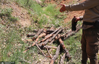 گشت با جنگل بانان برای مبارزه با قاچاق چوب و زغال