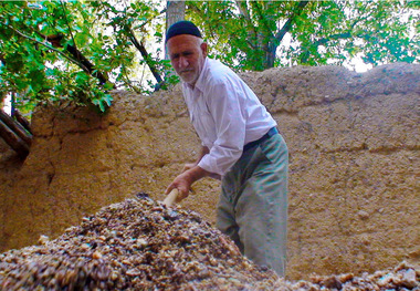 زندگی در روستاهای البرز جان گرفت