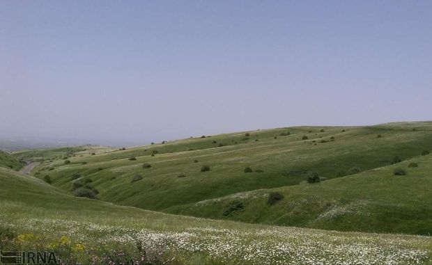 اراضی ملی بعد از محدوده‌بندی در اختیار بهره‌برداران قرار می‌گیرد