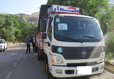 الوار جنگلی قاچاق در جاده سرچم کشف شد