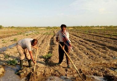 تسهیلات ۳۲ هزار کشاورز در خراسان رضوی امهال شد