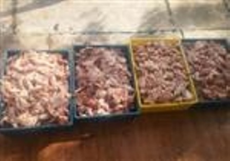 210 کیلوگرم مرغ قطعه بندی غیر مجاز در قزوین کشف و ضبط شد