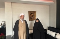 دیدار معاون ارتباطات بین الملل دفتر مقام معظم رهبری با دکتر زهرا مصطفوی (3)