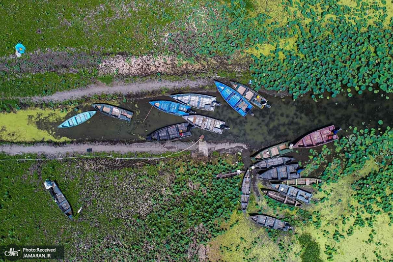 منتخب تصاویر امروز جهان- 18 تیر 1400