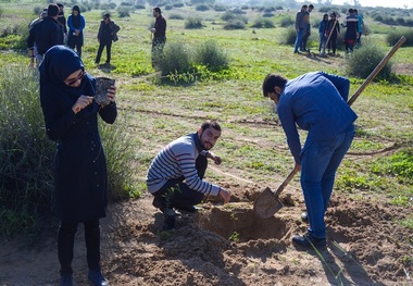 500 اصله نهال در پارک جنگلی عیسوند کاشته شد