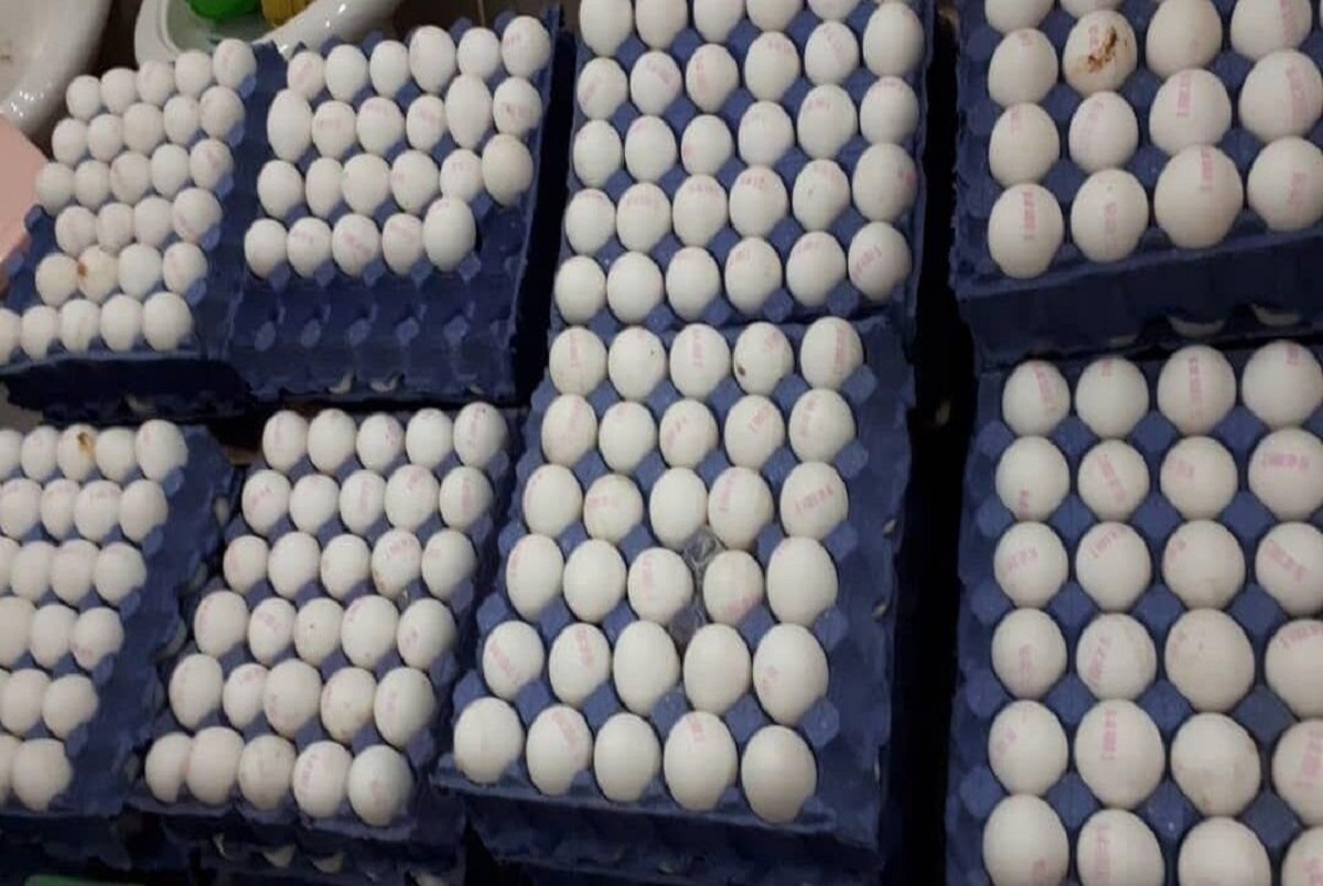 قیمت جدید تخم مرغ در بازار؛ 4 مهر 1402 + جدول